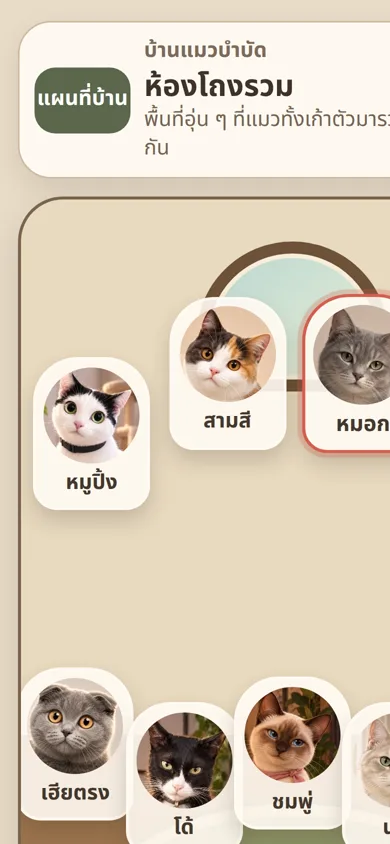 หน้าห้องโถงรวมในแอปแมวบำบัด